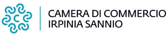 Logo Camera di Commercio Irpinia Sannio Bando Doppia Transizione Digitale ed Ecologica 2026 Avellino Benevento